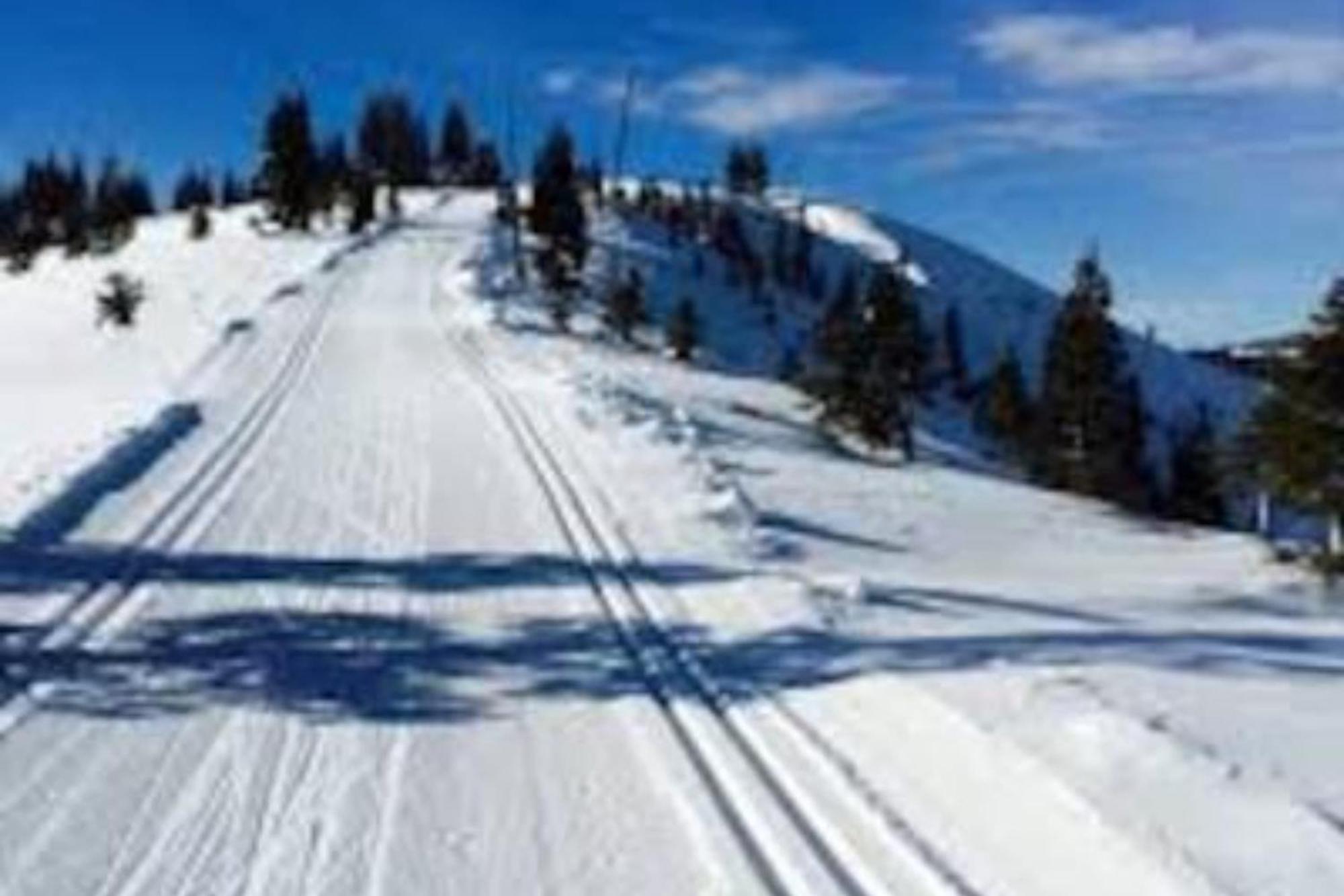 Moosetrack By Avantstay Cozy Cabin In The Of Tahoe Donner W Hot Tub Truckee Exteriör bild